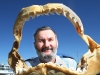 Shark Jaws