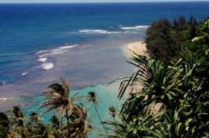 Ke\'e Beach Kauai kee beach 300x198 Shark sighting at Kauai’s North Shore Ke‘e Beach