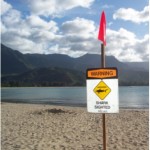 Hanalei Bay Shark Closure Hanalei Bay Shark Closure