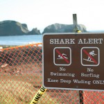 Shark Alert Beach Closure Sign Shark Alert Beach Closure Sign