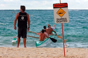 oahu shark closure 300x200 Oahu Beaches Closed: Aggressive Shark Sighting and Possible Body!