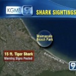 More Shark Sightings Close Windward Oahu Beaches More Shark Sightings Close Windward Oahu Beaches