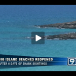 Big Island Beaches Reopened Big Island Beaches Reopened