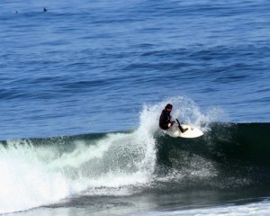 shark-ocean-beach-300x240 Ocean Beach Surfer & Shark Picture 