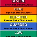 shark alert system - level severe shark alert system - level severe