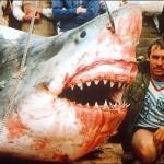 Outrageous Shark Hunting Artwork - Is It Irresponsible? Outrageous Shark Hunting Artwork - Is It Irresponsible?
