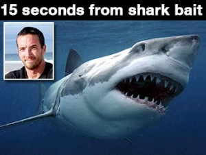 15 Second from Shark Bait sharkmain0209-300x226 Surfer Barely Avoids Shark Attack at Byron Bay