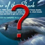 Where's the coverage of Volusia County Shark Attacks? Where's the coverage of Volusia County Shark Attacks?