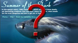 Where\'s the coverage of Volusia County Shark Attacks? sharks splash update 300x167 Zero Coverage of Volusia County Shark Attacks in 2008