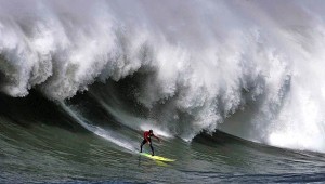 Get Your Shit Torn Up at Maverick\'s 43507360 300x170 Revised Marine Sanctuary Rules Ban Farallon Shark Chumming