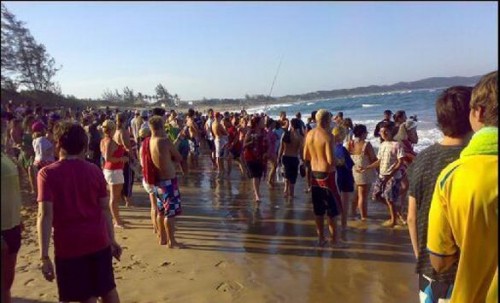 Ponta da Ouro Beach, Post-Shark Attack Chaos 824 585x355 2 500x303 Tiger Shark Attacks Mozambique Tourist