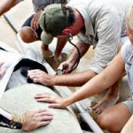Workers Attempt to Revive False Killer Whale
