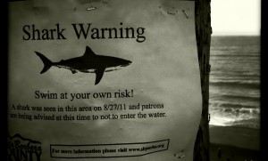 rinconsign 300x181 Rincon: Queen of the... Sharks?