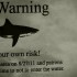 Rincon - Queen of the Sharks