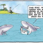 Shark Attacks and Climate Change