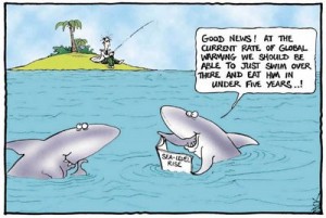 Shark Attacks and Climate Change - Connected?