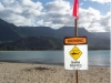 Shark Sighting Hanalei Bay Kauai